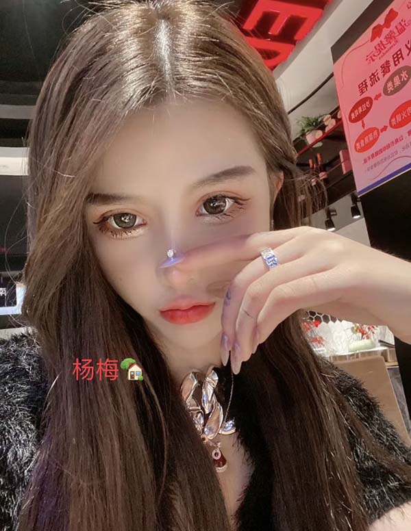 旧金山伴游招聘